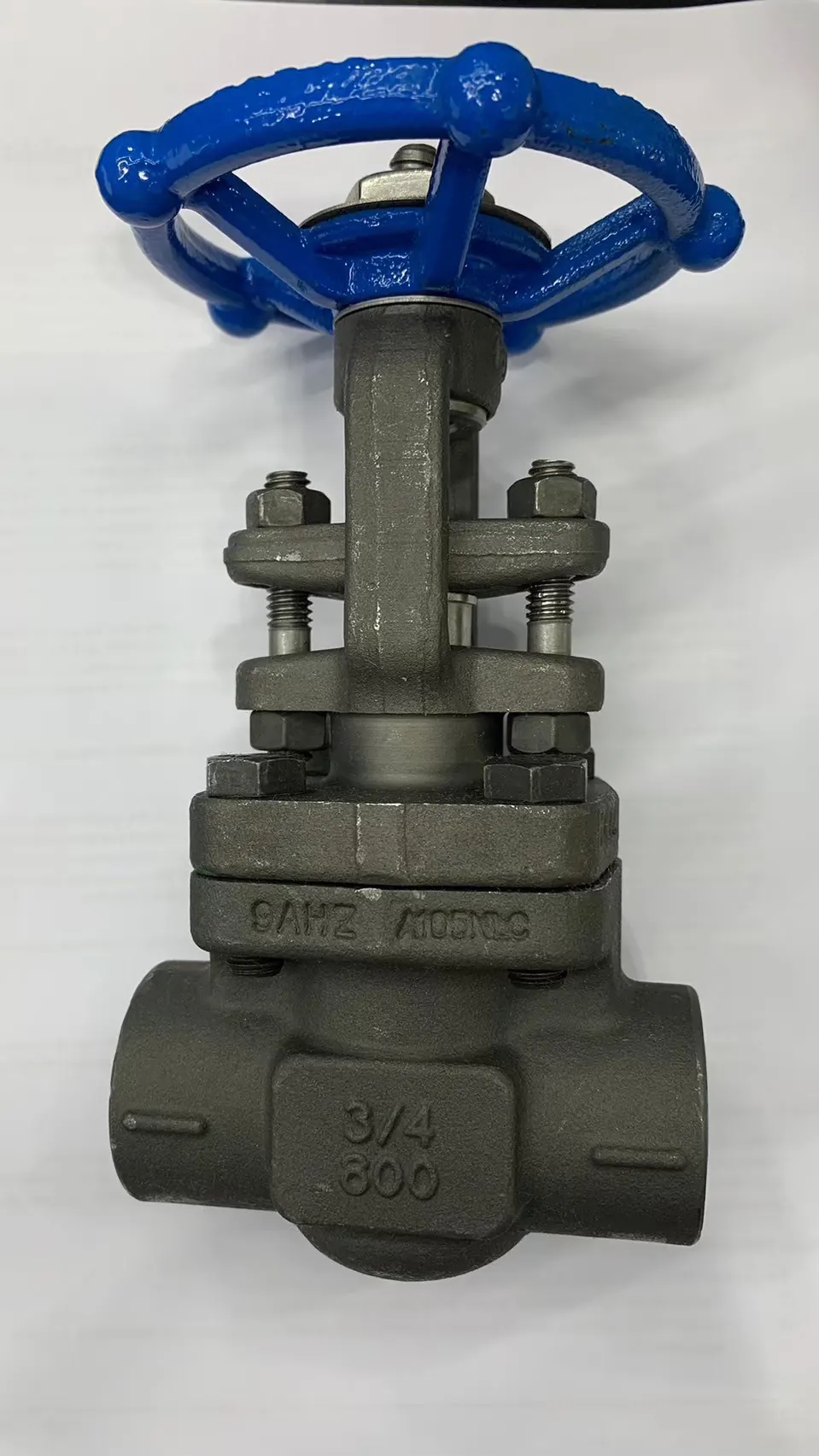 Smith Valves — PTTEP — Special-Painted Globe Valves