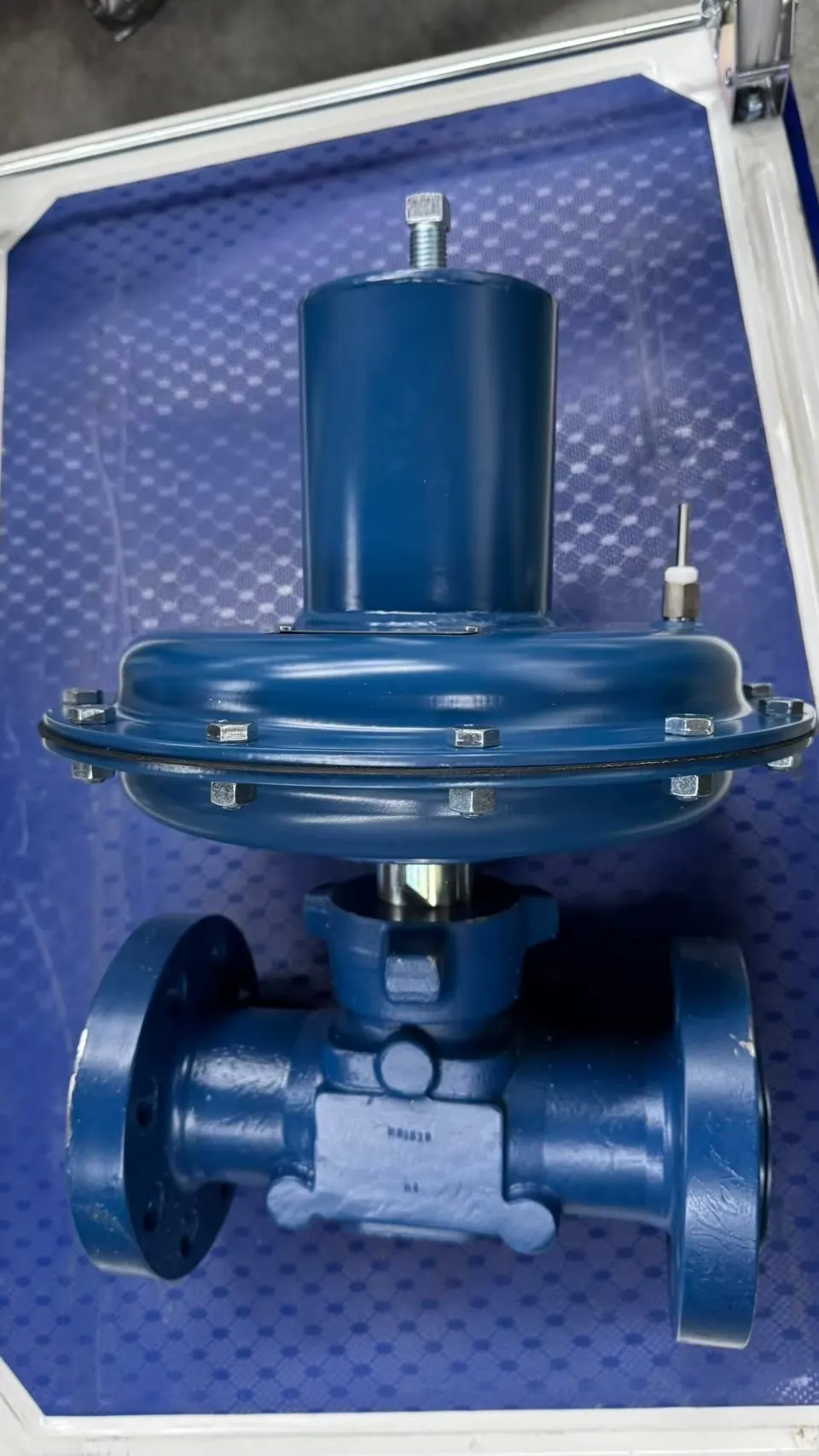 Norriseal Wellmark — PTTEP — Valves, Switches & PSVs